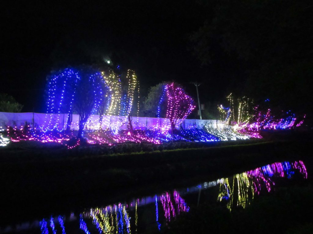 Lichtspiele in der Nacht von Munnar.
